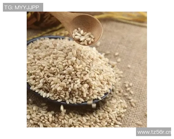 大米的营养价值与健康影响探索：从田间到餐桌的全方位分析