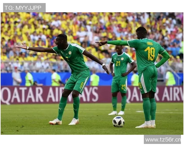 美洲杯历史回顾与展望：从早期传奇到现代足坛的精彩对决