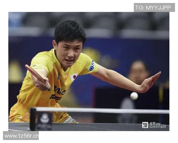 深圳乒乓球队成长之路：从青涩少年到乒坛精英的奋斗历程